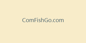 ComFishGo.com