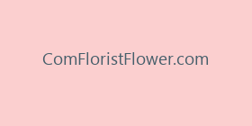 ComFloristFlower.com