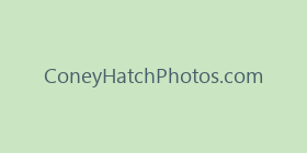 ConeyHatchPhotos.com