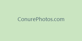 ConurePhotos.com