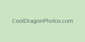CoolDragonPhotos.com