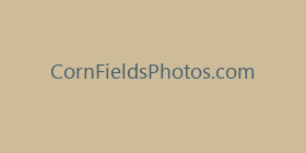 CornFieldsPhotos.com