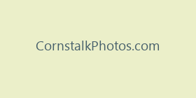 CornstalkPhotos.com
