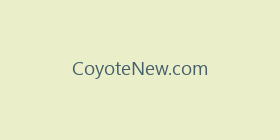 CoyoteNew.com