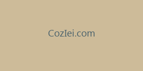 CozIei.com