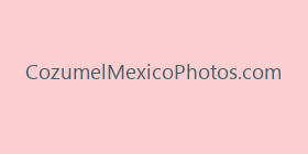 CozumelMexicoPhotos.com