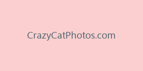 CrazyCatPhotos.com