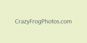 CrazyFrogPhotos.com
