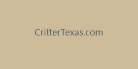 CritterTexas.com