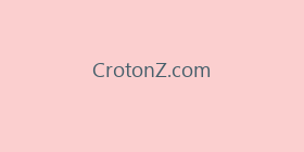 CrotonZ.com