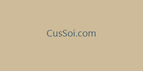 CusSoi.com