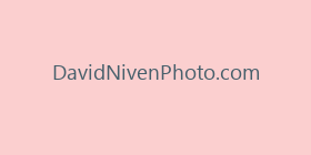 DavidNivenPhoto.com