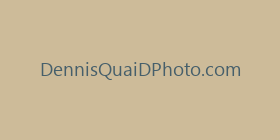 DennisQuaiDPhoto.com