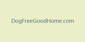 DogFreeGoodHome.com