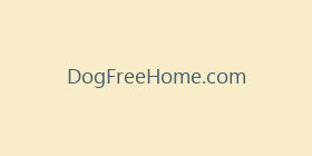 DogFreeHome.com