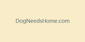 DogNeedsHome.com