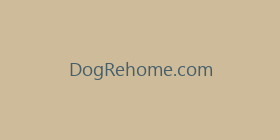 DogRehome.com