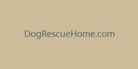 DogRescueHome.com