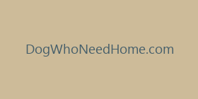 DogWhoNeedHome.com