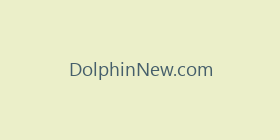 DolphinNew.com