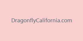 DragonflyCalifornia.com
