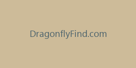 DragonflyFind.com