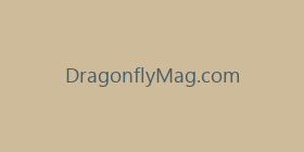 DragonflyMag.com