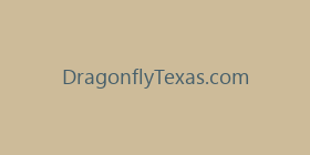 DragonflyTexas.com
