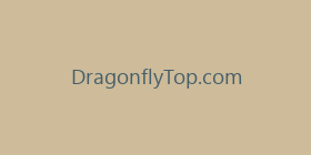 DragonflyTop.com