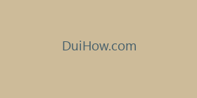 DuiHow.com