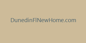 DunedinFlNewHome.com