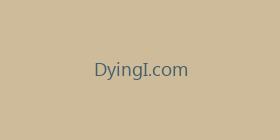 DyingI.com