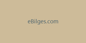 eBilges.com