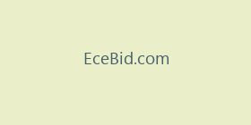 EceBid.com