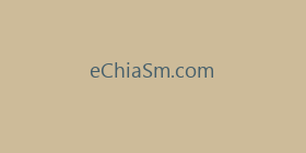 eChiaSm.com