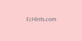 EcHints.com