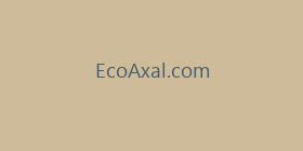 EcoAxal.com