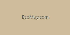 EcoMuy.com