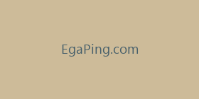 EgaPing.com