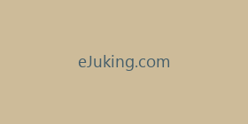eJuking.com
