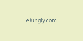eJungly.com
