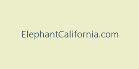 ElephantCalifornia.com