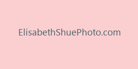 ElisabethShuePhoto.com