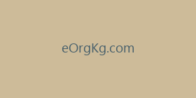 eOrgKg.com