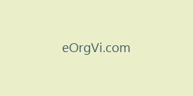 eOrgVi.com