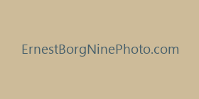 ErnestBorgNinePhoto.com
