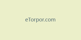 eTorpor.com