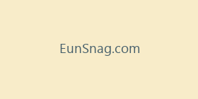 EunSnag.com