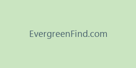 EvergreenFind.com