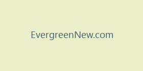 EvergreenNew.com